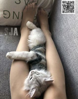 异形魔怪1_DVDBD在线观看
