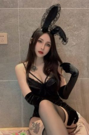 40集电视剧玫瑰之战免费播放_蓝光免费观看电视剧